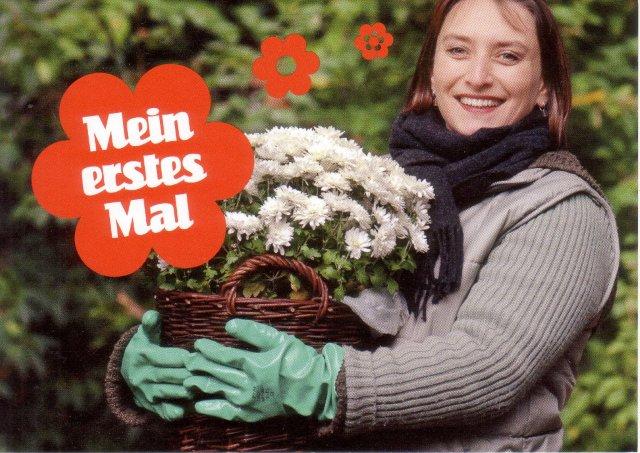 Hier gehts weiter zu einem neuen Kleingarten